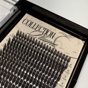 Collection Plume | 0.05