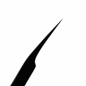 Alternative view of XANA — PINCE ISOLATION